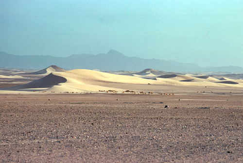 Dunes dwarfed L