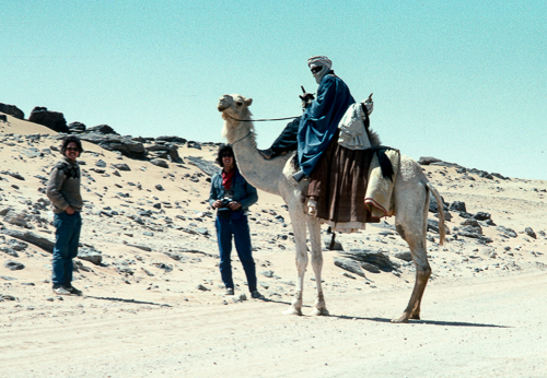 Camel_transport_in_the_Sahara.jpg